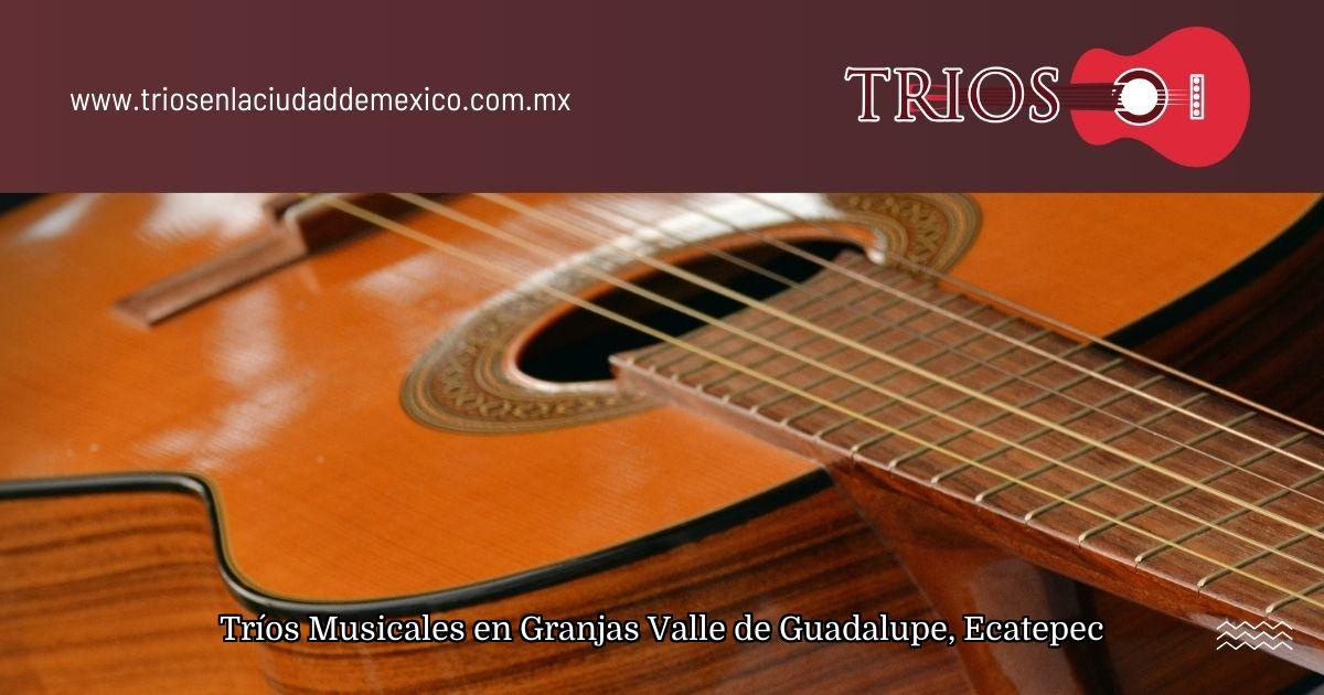 Tríos Musicales en Granjas Valle de Guadalupe, Ecatepec